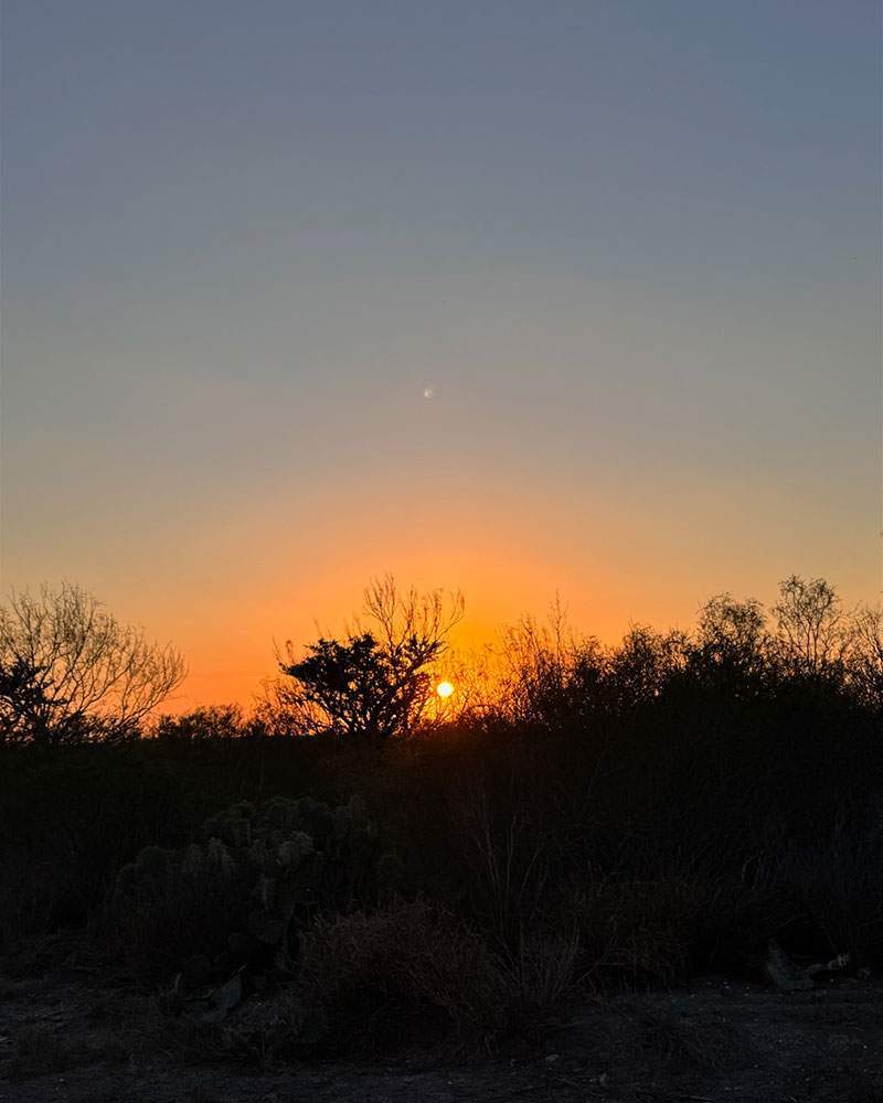 South Texas brush country at sunrise