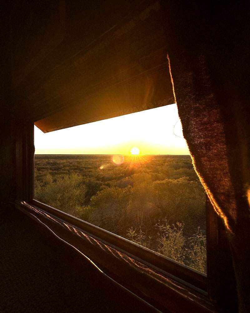 Sendero through the brush at first light